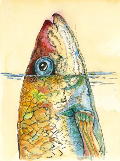 Colourful Fish out of Water
