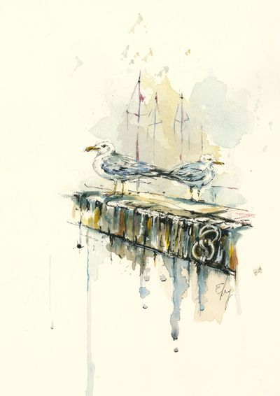 Gulls