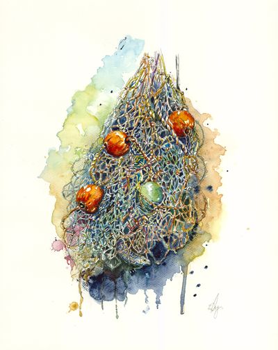 Fishing Net