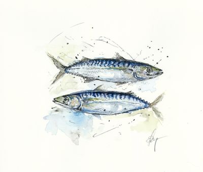 Mackerel Twins