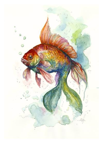 Goldfish