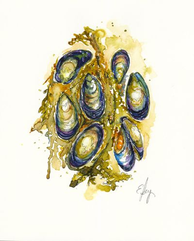 Mussels III